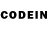 Псилоцибиновые грибы GOLDEN TEACHER WowRacing