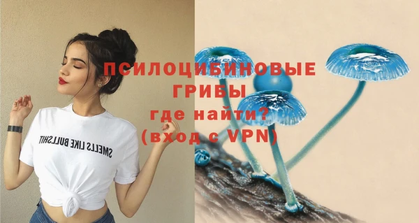 гашишное масло Медвежьегорск