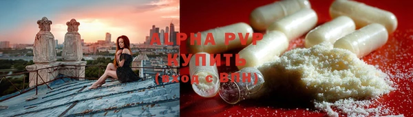 стаф Медногорск
