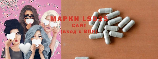 стаф Медногорск