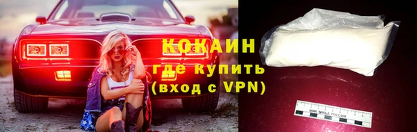 стаф Медногорск