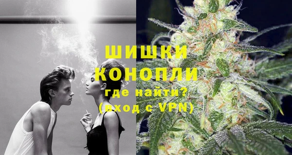 стаф Медногорск