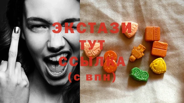 стаф Медногорск