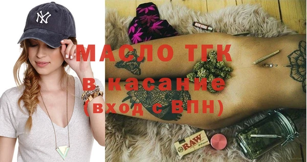 стаф Медногорск