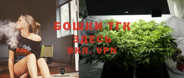 стаф Медногорск